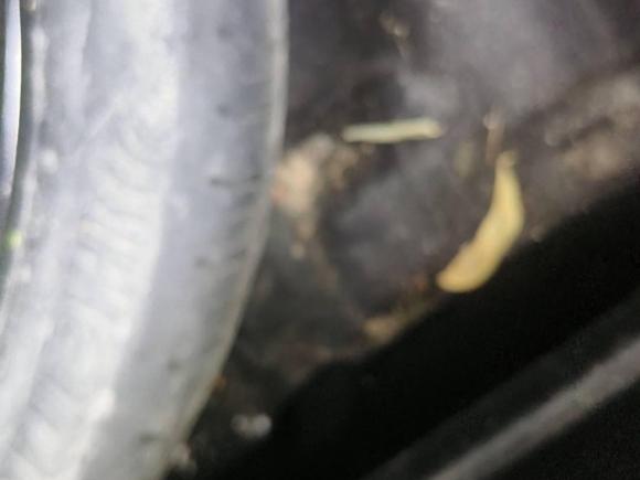 [嘉兴·浙F] 二手奥迪奥迪A32014款 Sportback 35 TFSI 自动舒适型