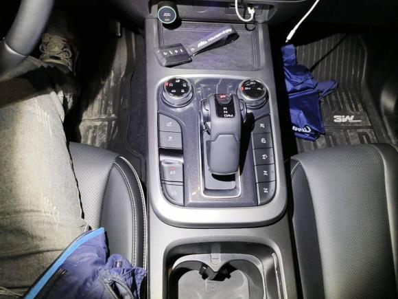 [南京·苏A] 二手坦克坦克3002021款 越野版 2.0T 征服者