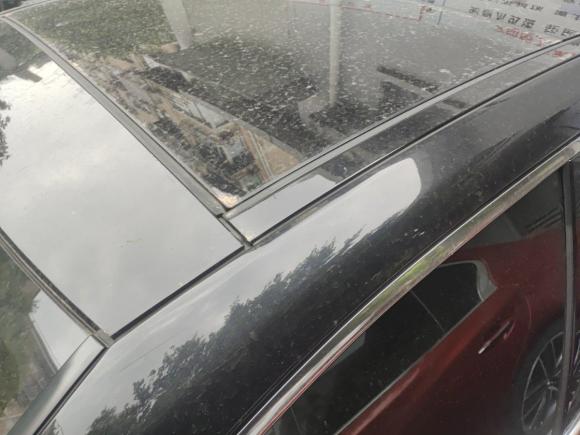 [上海·沪F] 二手丰田亚洲龙2019款 双擎 2.5L XLE尊贵版 国VI