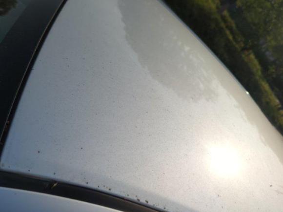 [上海·苏B] 二手丰田卡罗拉2007款 1.6L 自动GL