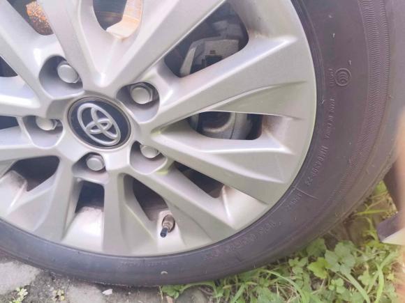 [上海·沪C] 二手丰田卡罗拉2022款 1.2T S-CVT先锋PLUS版