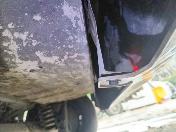 [杭州·浙A] 二手欧拉欧拉黑猫2021款 301km 萌宠版