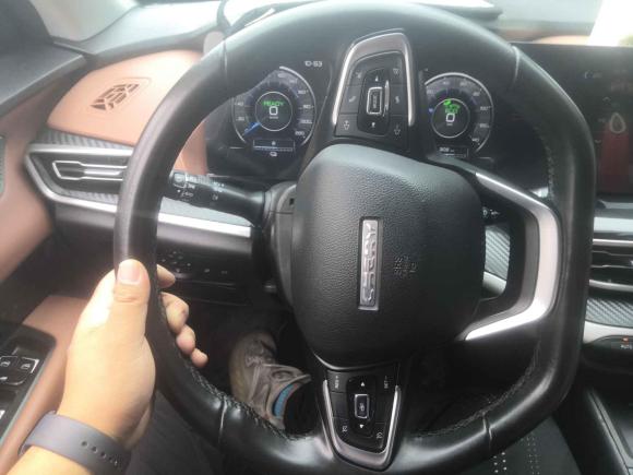 [芜湖·皖B] 二手奇瑞新能源大蚂蚁2020款 高能pro版