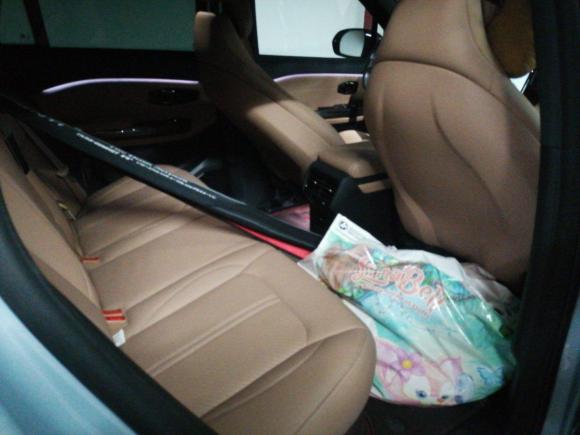 [上海·沪A] 二手蔚来蔚来ES62019款 420KM 运动版