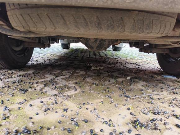 [义乌·浙G] 二手东风风行菱智2016款 V3 1.5L 7座豪华型 国IV