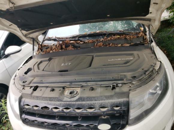 [苏州·苏D] 二手陆风陆风X72015款 2.0T 全景尊贵版