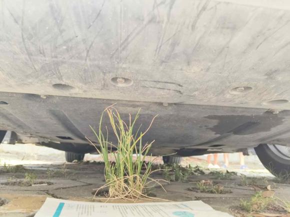 [深圳·粤H] 二手福特蒙迪欧2017款 EcoBoost 200 时尚型