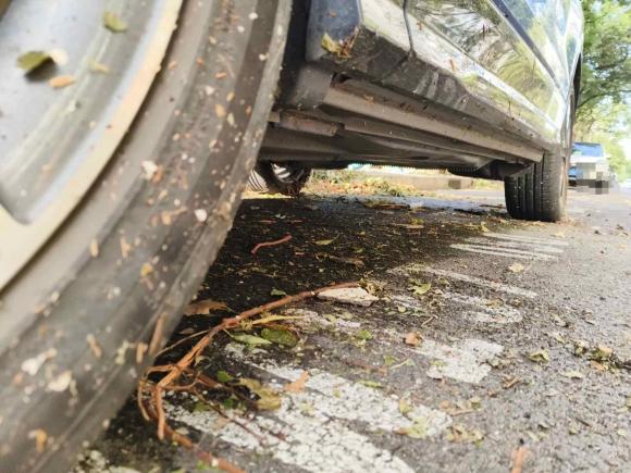 [上海·皖D] 二手奥迪奥迪Q2L2022款 35 TFSI 时尚致雅型