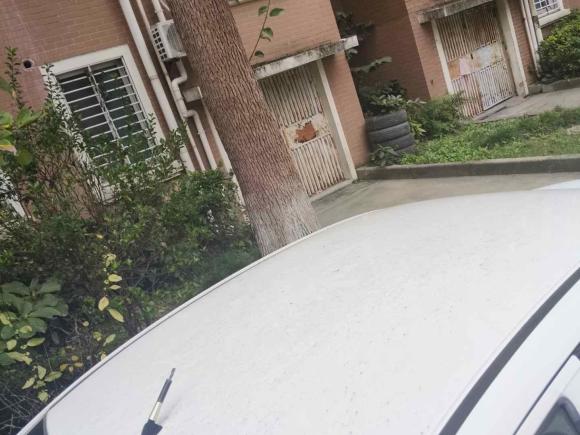 [上海·沪C] 二手本田锋范2015款 1.5L CVT舒适版