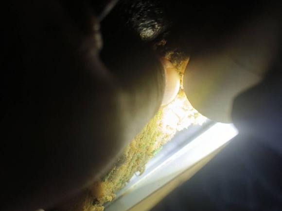 [广州·粤S] 二手东风风度东风风度MX62015款 2.0L CVT两驱梦想版