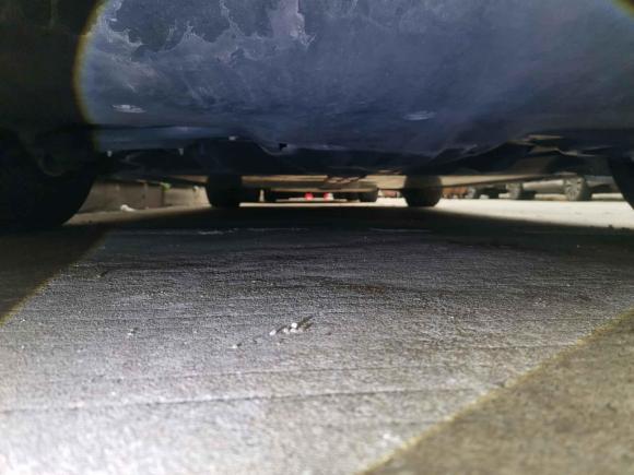 [深圳·粤B] 二手特斯拉Model 32021款 标准续航后驱升级版