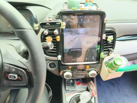 [合肥·皖A] 二手奇瑞新能源小蚂蚁2022款 甜粉款 半糖版 磷酸铁锂 30kW 301km