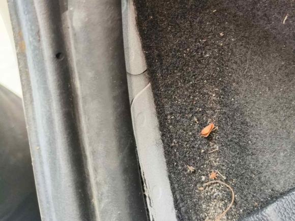 [南京·苏N] 二手福特福睿斯2015款 1.5L 自动时尚型