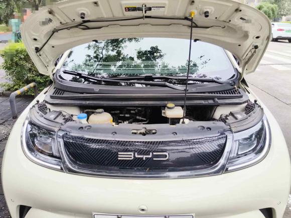 [西安·陕A] 二手比亚迪海豚2023款 420km 时尚版