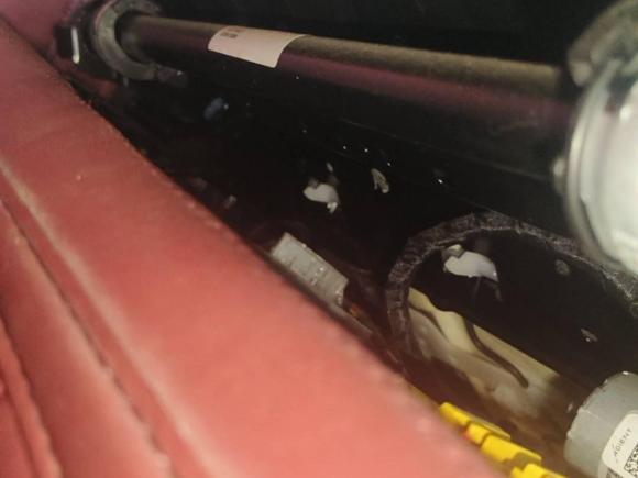 [深圳·浙H] 二手宝马宝马4系2022款 425i M运动套装