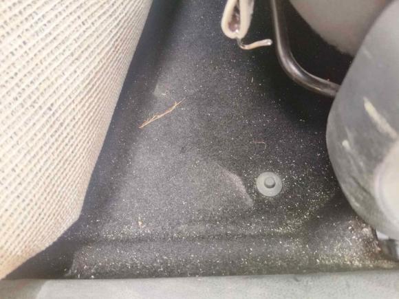 [成都·川A] 二手大众Polo2014款 1.4L 手动风尚版