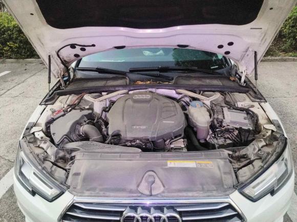 [上海·沪C] 二手奥迪奥迪A4L2018款 30周年年型 40 TFSI 进取型