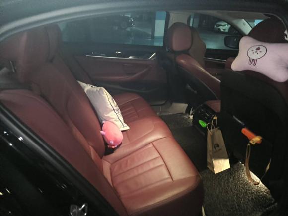 [嘉兴·浙F] 二手宝马宝马5系2018款 528Li 上市特别版