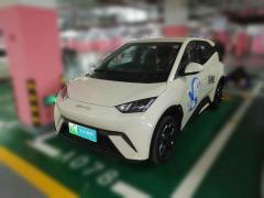 [武汉·粤S] 比亚迪海鸥2023款 自由版