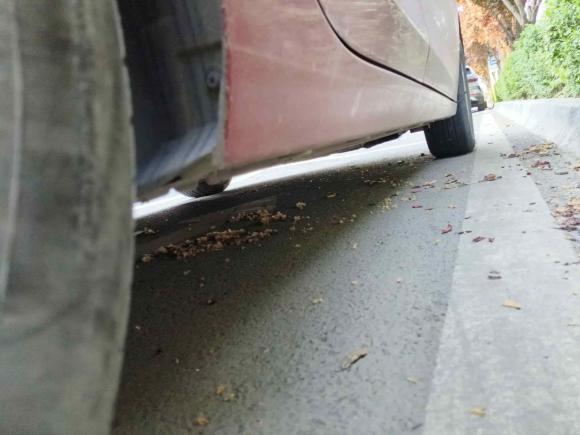 [西安·陕A] 二手雪佛兰科沃兹2016款 1.5L 自动欣享版