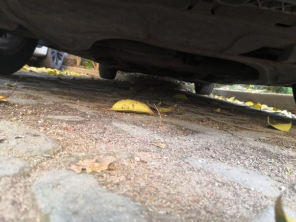 [上海·沪A] 二手大众帕萨特2011款 1.8TSI DSG尊荣版