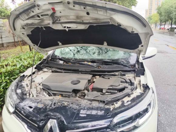 [常州·苏D] 二手雷诺科雷嘉2016款 2.0L 两驱尊贵版