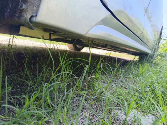 [南京·苏A] 二手丰田雷凌2021款 双擎 1.8H E-CVT豪华版