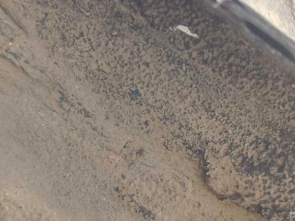 [宁波·浙B] 二手红旗红旗H52020款 1.5T DCT旗韵版