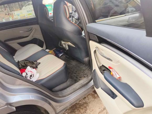 [济南·鲁A] 二手比亚迪宋PLUS新能源2021款 EV 尊贵型