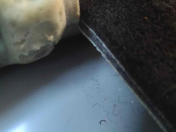 [杭州·黑A] 二手哈弗哈弗H72016款 蓝标H7 2.0T 自动豪华型