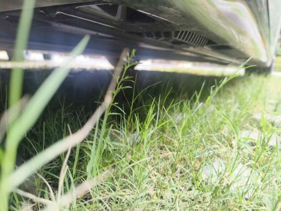 [南京·苏A] 二手小米汽车小米SU72024款 700km 后驱长续航智驾版