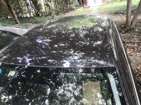 [上海·皖A] 二手斯柯达明锐2016款 1.6L 手动创行版