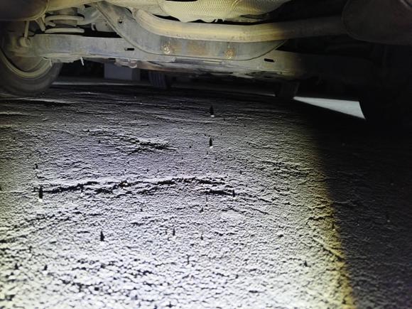 [苏州·苏E] 二手福特蒙迪欧-致胜2011款 2.3L 豪华型