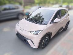[天津·津A] 比亚迪海鸥2024款 荣耀版 305km 自由版