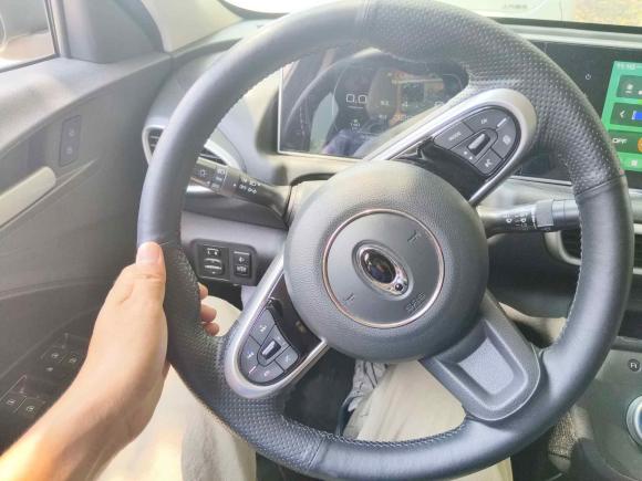 [上海·沪A] 二手欧拉欧拉白猫2020款 360km 豪华型