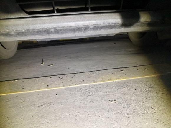 [西安·川A] 二手福特Mustang2019款 2.3L EcoBoost