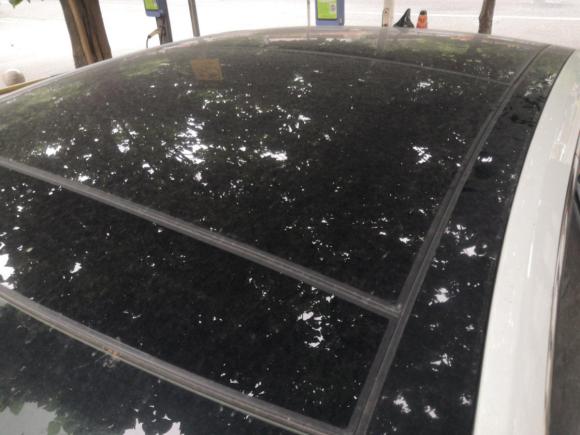 [成都·川A] 二手长安睿骋CC2018款 1.5T 自动尊雅型 国V