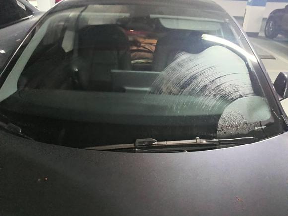 [上海·沪A] 二手特斯拉Model 32021款 Performance高性能全轮驱动版