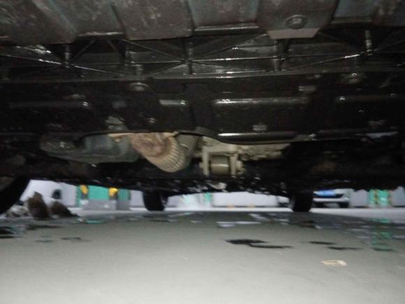 [南京·苏A] 二手长安睿骋CC2018款 1.5T 自动典雅型 国V