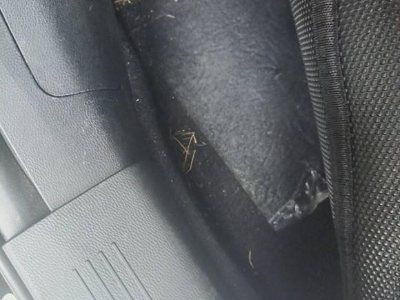 [成都·川A] 二手红旗红旗H52019款 30TD 灵动版