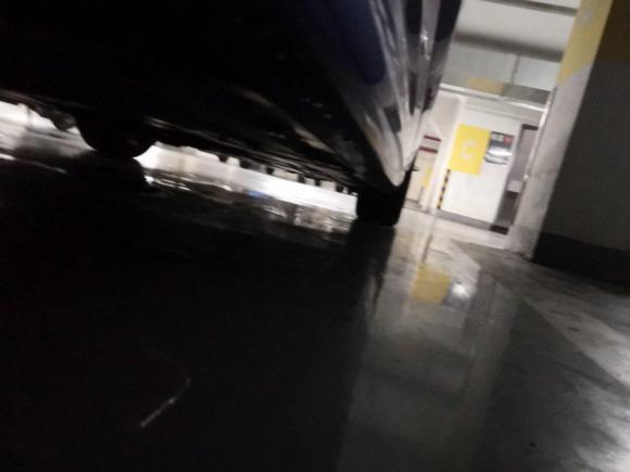 [上海·沪A] 二手宝马宝马3系2019款 320Li M运动曜夜版