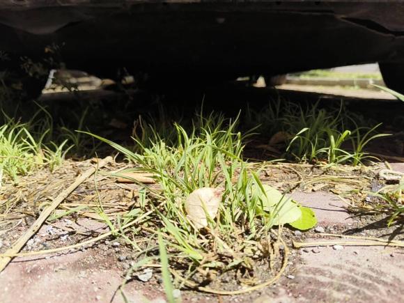 [北京·鲁V] 二手沃尔沃沃尔沃S602016款 S60L T3 智行版