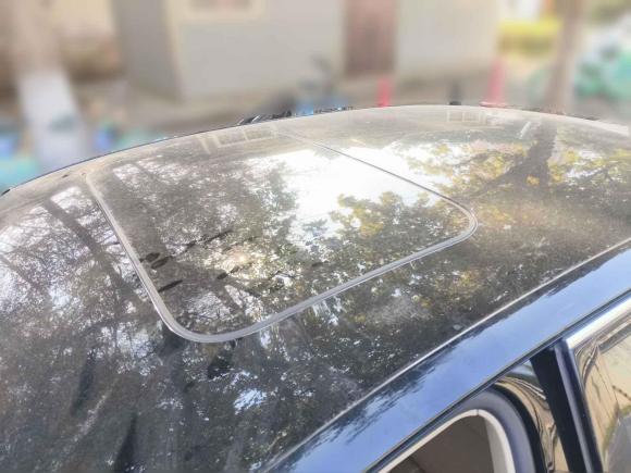 [西安·陕E] 二手大众辉腾2011款 3.6L V6 4座加长Individual版