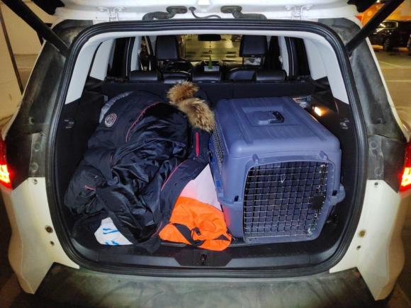 [上海·苏A] 二手福特翼虎2013款 2.0L GTDi 四驱运动型