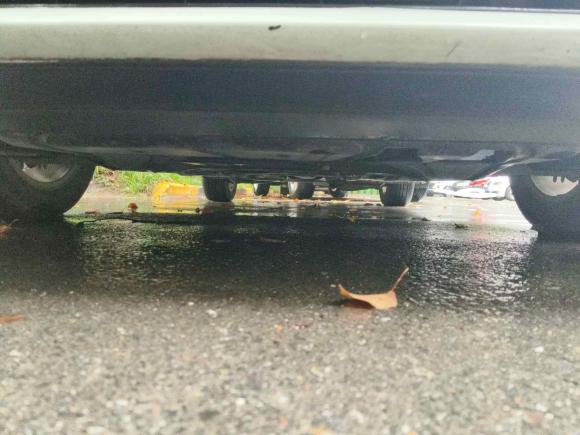 [合肥·皖A] 二手大众高尔夫2019款 280TSI DSG舒适型 国V