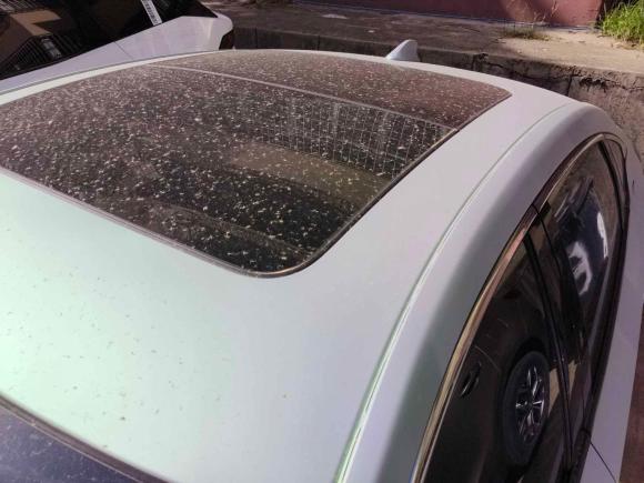 [西安·陕A] 二手本田英仕派2019款 260TURBO 精悦版 国V