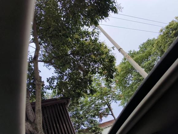 [西安·陕A] 二手吉利汽车帝豪GL2019款 1.8L DCT精英智享型