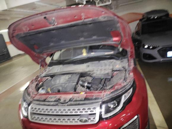 [上海·沪A] 二手路虎揽胜极光2018款 240PS SE 智耀版