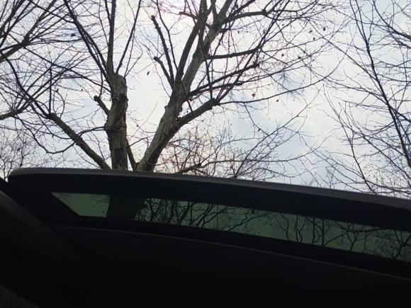 [湖州·浙E] 二手斯柯达柯迪亚克2018款 改款 TSI330 7座两驱豪华优享版