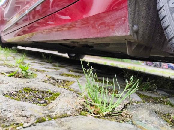 [无锡·苏B] 二手凯迪拉克凯迪拉克ATS-L2017款 28T 时尚型